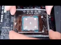 460x344