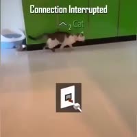 360x360