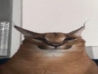 340x256