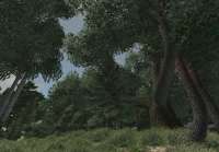1148x800