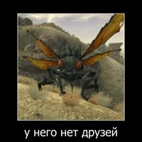 720x720