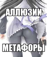 427x512