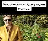 540x466