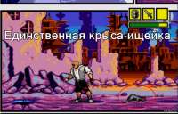 632x407