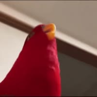 320x320