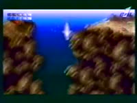 480x360