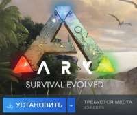 531x446