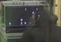352x240