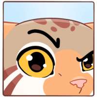 256x256