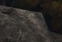 396x266