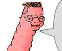 592x492