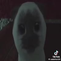 720x720