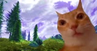 480x256