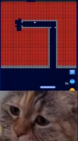460x818