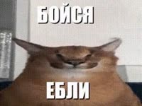 320x240