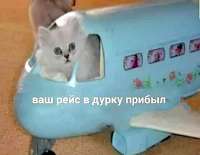 937x728