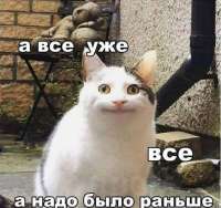 952x899