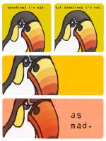 482x642