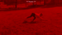 460x258