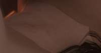 1695x895