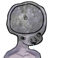 550x543