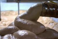 500x338