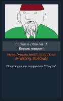 261x419