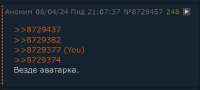 557x253