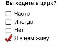 1080x811