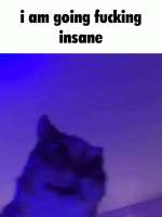 375x498