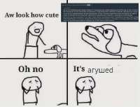 483x371