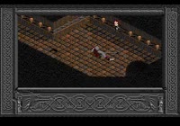 320x224