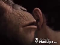 480x360