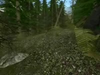 480x360