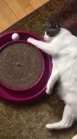 360x640