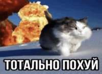 498x362