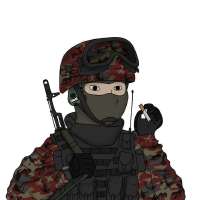 736x736
