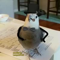 320x320