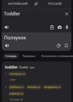 576x797