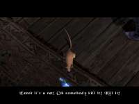 640x480