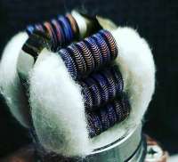 570x519