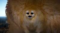 3638