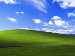 565