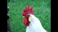 3542