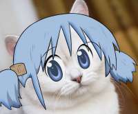 167