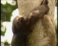 639