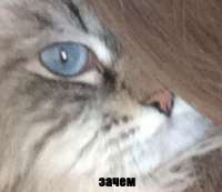 141