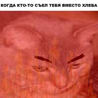 900x900