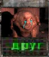 295x338