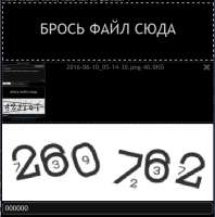 505x510